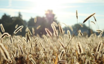 Skóra alergika – jak sobie z nią radzić?