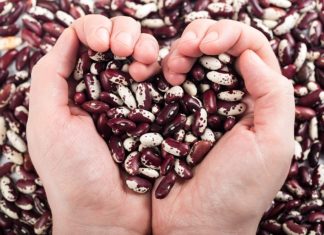 Fasola – poznaj jej niezwykłe właściwości!