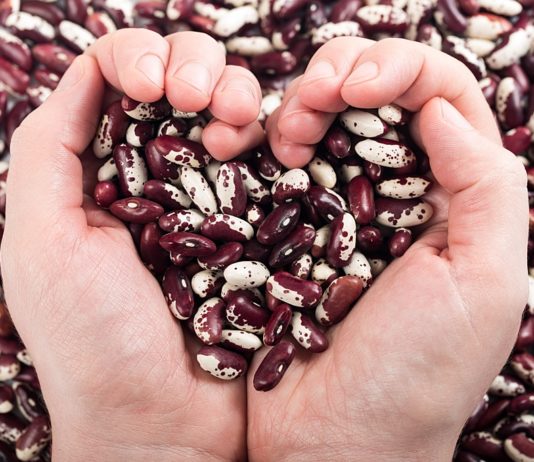 Fasola – poznaj jej niezwykłe właściwości!