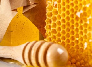 Pierzga – idealna na wzmocnienie odporności jesienią