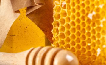 Pierzga – idealna na wzmocnienie odporności jesienią