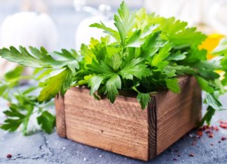Pietruszka – zielone źródło zdrowia