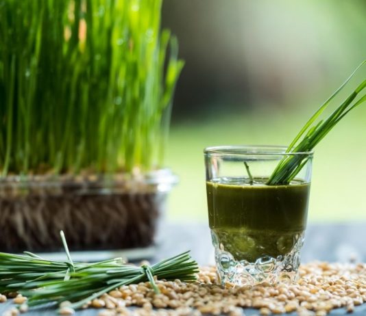 Trawa pszeniczna- wyhoduj swoje zdrowie!