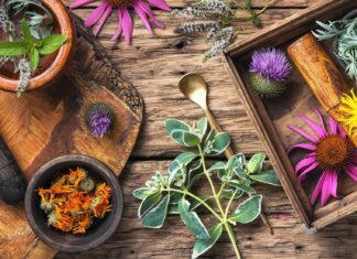 Domowe zioła na kobiece dolegliwości