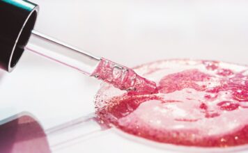 Ceramidy w kosmetykach – kiedy je stosować?