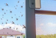 Niezawodne sposoby na komary