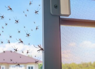 Niezawodne sposoby na komary