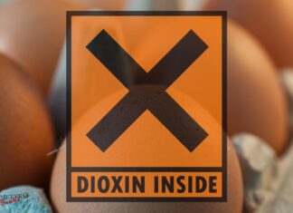 Toksyczny wpływ dioksyn na nasz organizm