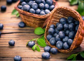 Borówka w roli głównej – dla zdrowia i urody