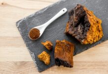 Grzyb chaga – sekret długowieczności?