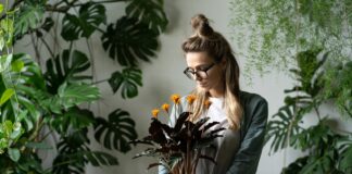 Rośliny w domu: jak dbać o zielonych przyjaciół zimą