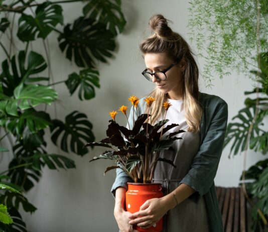 Rośliny w domu: jak dbać o zielonych przyjaciół zimą