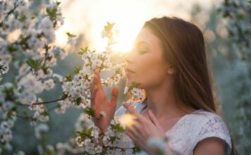Zapachy szczęścia: Czy perfumy mogą wpłynąć na chemię Twojego mózgu?