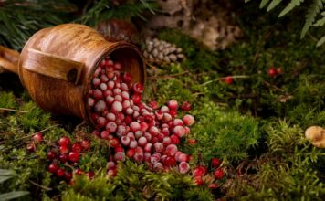 Żurawina na świątecznym stole: czy ten zimowy klasyk lubi też Twoją skórę?