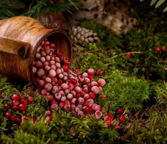 Żurawina na świątecznym stole: czy ten zimowy klasyk lubi też Twoją skórę?