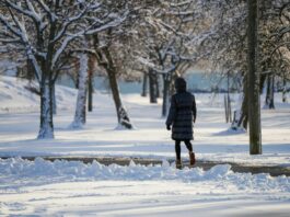 Spacer zamiast postanowień: 20 minut, które ratują głowę