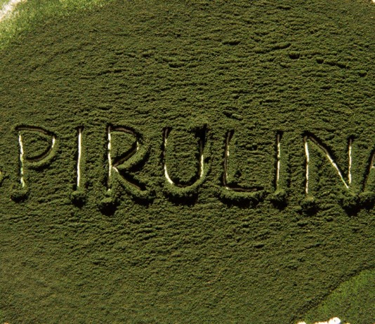 Spirulina- zielone złoto z morza