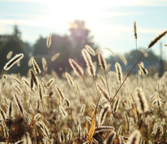 Skóra alergika – jak sobie z nią radzić?