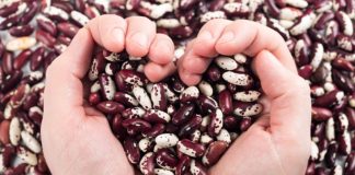 Fasola – poznaj jej niezwykłe właściwości!