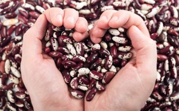 Fasola – poznaj jej niezwykłe właściwości!