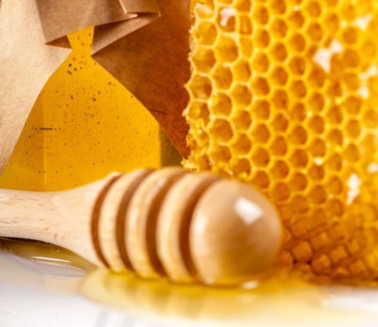 Pierzga – idealna na wzmocnienie odporności jesienią