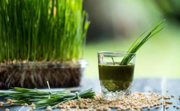 Trawa pszeniczna- wyhoduj swoje zdrowie!