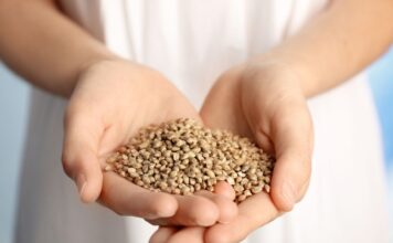 Produkty, które uchronią cię przed rakiem!