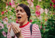 Najskuteczniejsze zioła na alergie