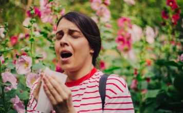 Najskuteczniejsze zioła na alergie