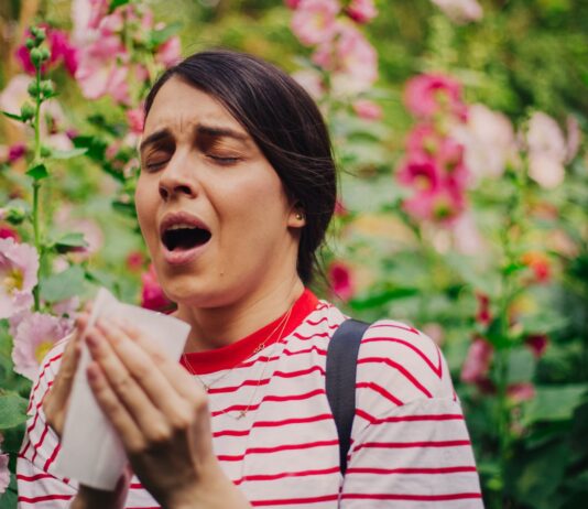 Najskuteczniejsze zioła na alergie