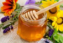 Te miody wzmocnią Twoją odporność! Kasztanowy, fasolowy, nawłociowy…