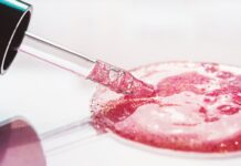 Ceramidy w kosmetykach – kiedy je stosować?