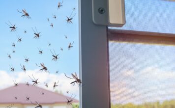 Niezawodne sposoby na komary