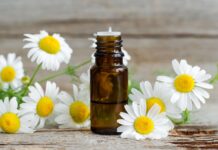 Najlepszy hydrolat do suchej skóry – nawilży, ukoi i przyjemnie schodzi