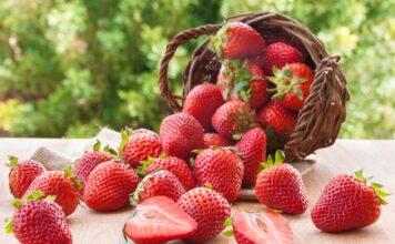 Witaminowa bomba dla urody – truskawki