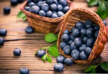 Borówka w roli głównej – dla zdrowia i urody