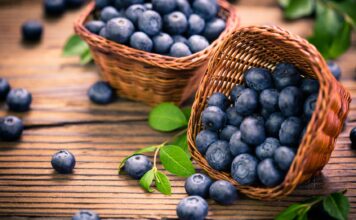 Borówka w roli głównej – dla zdrowia i urody