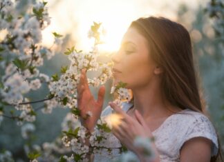 Zapachy szczęścia: Czy perfumy mogą wpłynąć na chemię Twojego mózgu?