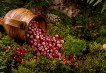 Żurawina na świątecznym stole: czy ten zimowy klasyk lubi też Twoją skórę?