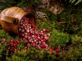 Żurawina na świątecznym stole: czy ten zimowy klasyk lubi też Twoją skórę?