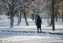 Spacer zamiast postanowień: 20 minut, które ratują głowę