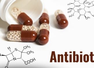 Jak antybiotyki wpływają na mikrobiom? Skutki mogą utrzymywać się dłużej, niż myślisz
